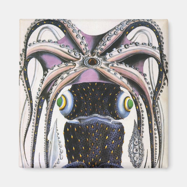 Jättebläckfisk eller Åttaarmad Bläckfisk, gammal m Magnet (Framsidan)