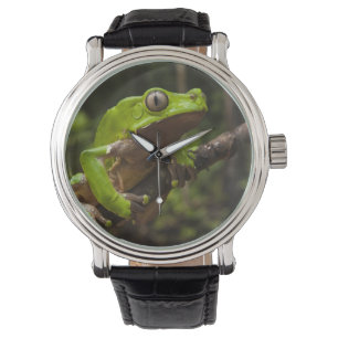 Jättebladfrosk Phyllomedusa bicolor) Armbandsur