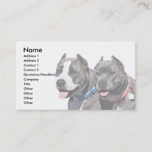 Jättebra djur för avelPitbull hund Visitkort