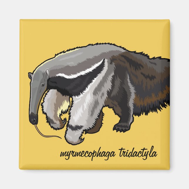 jätteknölare magnet (Framsidan)