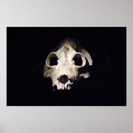 Jättelemur Poster