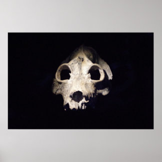 Jättelemur Poster