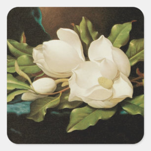 Jättemagnolior på en blå sammetsduk av MJ Heade Fyrkantigt Klistermärke