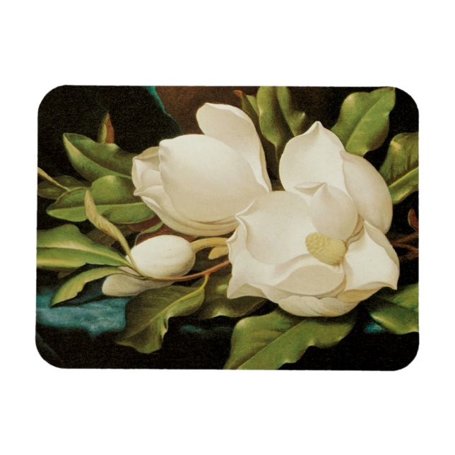 Jättemagnolior på en blå sammetsduk av MJ Heade Magnet (Horisontell)