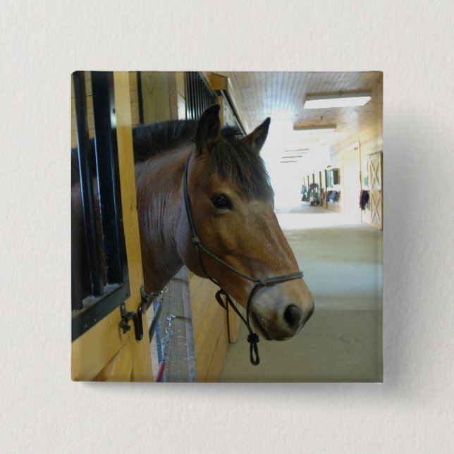 Jätten knäppas knapp (Framsida)