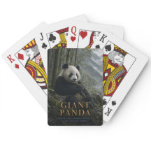 Jättepanda Bambu Skog DJUR Poker