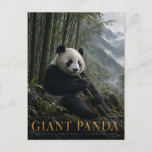 Jättepanda Bambu Skog DJUR