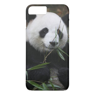 Jättepanda