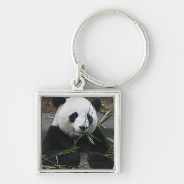 Jättepanda Fyrkantig Silverfärgad Nyckelring (Framsidan)
