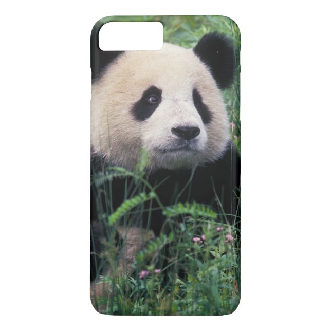 Jättepanda i gräset, Wolong Valley, Sichuan Case-Mate iPhone Skal (Baksida)
