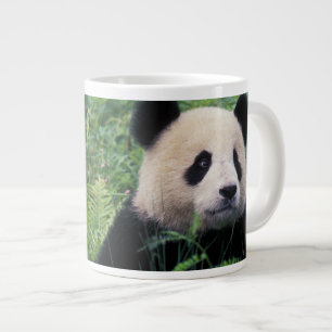 Jättepanda i gräset, Wolong Valley, Sichuan Jumbo Mugg