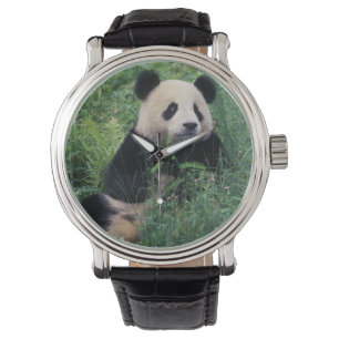 Jättepanda i gräset, Wolongdalen, Sichuan Armbandsur