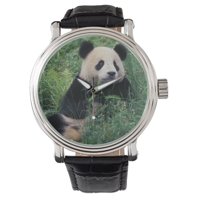 Jättepanda i gräset, Wolongdalen, Sichuan Armbandsur (Framsida)