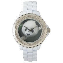 Jättepanda i lugn grön äng