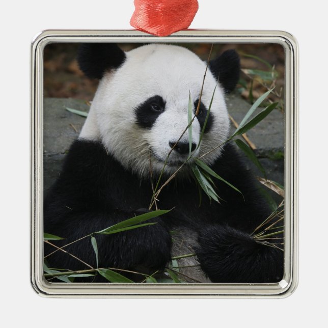 Jättepanda Julgransprydnad Metall (Framsidan)