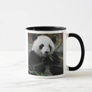 Jättepanda Mugg