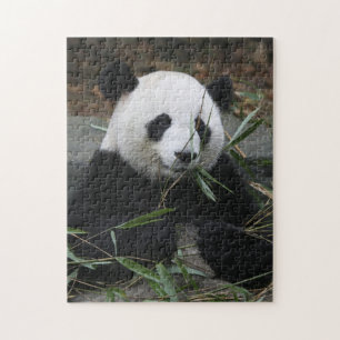 Jättepanda Pussel