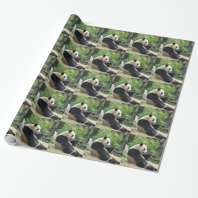 Jättepanda som äter bambu. presentpapper (Utrullad)