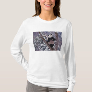 Jättepanda som står på ett träd, Wolong, Sichuan, Tee Shirt