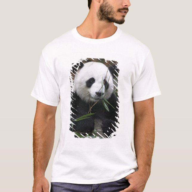 Jättepanda T Shirt (Framsida)