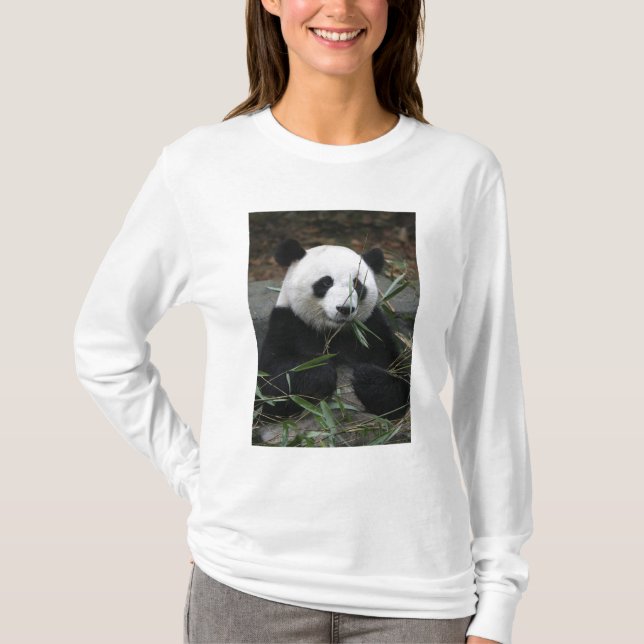 Jättepanda Tee Shirt (Framsida)