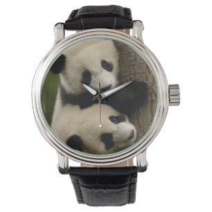 Jättepanda ungar (Ailuropoda melanoleuca) 2 Armbandsur