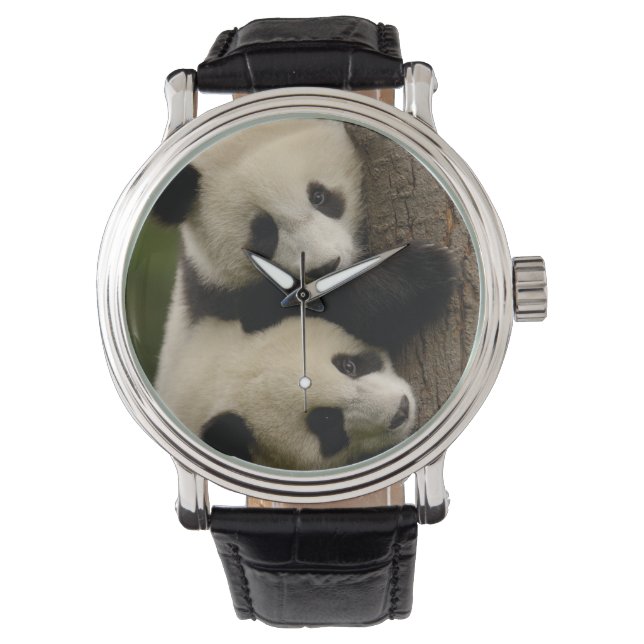 Jättepanda ungar (Ailuropoda melanoleuca) 2 Armbandsur (Framsida)