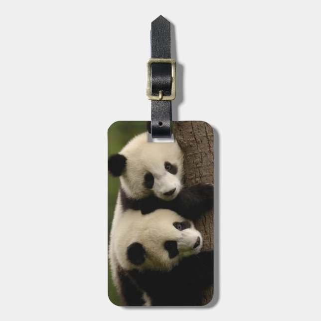 Jättepanda ungar (Ailuropoda melanoleuca) 2 Bagagebricka (Vertikal Framsida)