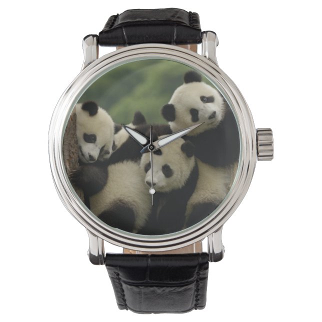 Jättepanda ungar (Ailuropoda melanoleuca) Armbandsur (Framsida)