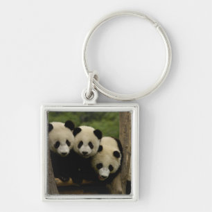 Jättepanda ungar (Ailuropoda melanoleuca) Fyrkantig Silverfärgad Nyckelring