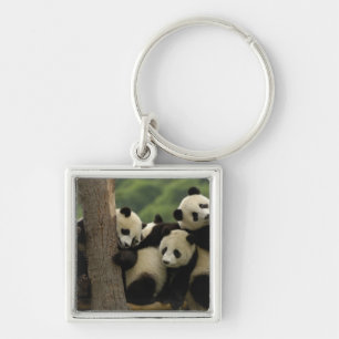 Jättepanda ungar (Ailuropoda melanoleuca) Fyrkantig Silverfärgad Nyckelring