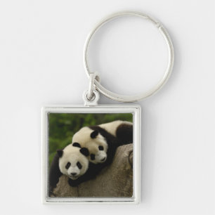 Jättepanda ungar (Ailuropoda melanoleuca) Fyrkantig Silverfärgad Nyckelring