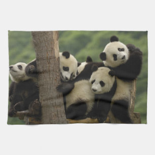 Jättepanda ungar (Ailuropoda melanoleuca) Kökshandduk