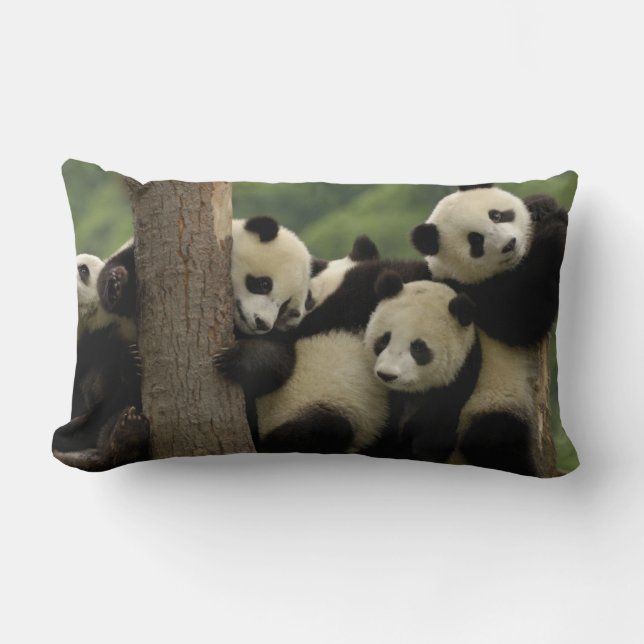 Jättepanda ungar Ailuropoda melanoleuca) Lumbarkudde (Framsida)
