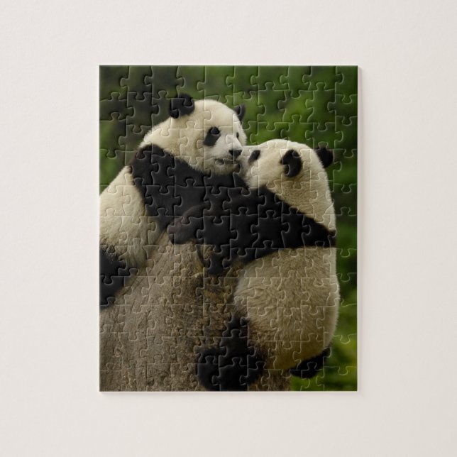 Jättepanda ungar (Ailuropoda melanoleuca) Pussel (Vertikal)