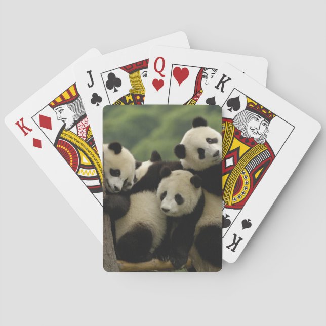 Jättepanda ungar (Ailuropoda melanoleuca) Spel Kort (Baksidan)