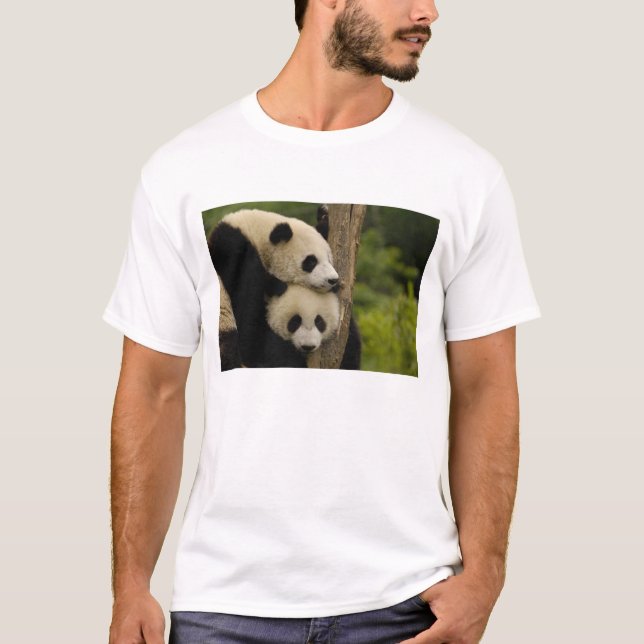 Jättepanda ungar Ailuropoda melanoleuca) T Shirt (Framsida)