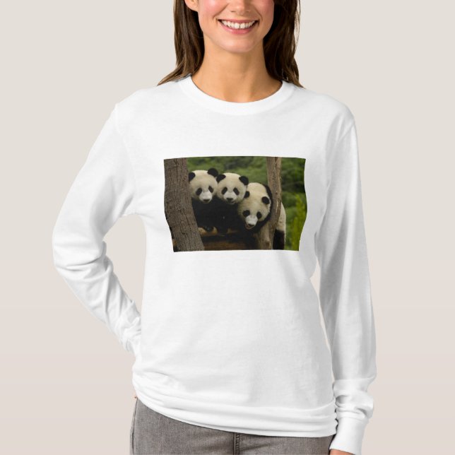 Jättepanda ungar (Ailuropoda melanoleuca) Tröja (Framsida)