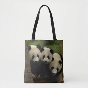 Jättepanda ungar (Ailuropoda melanoleuca) Tygkasse