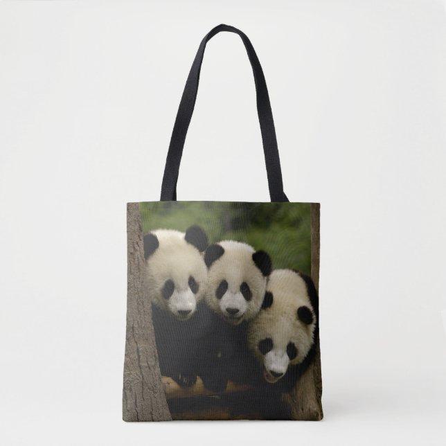 Jättepanda ungar (Ailuropoda melanoleuca) Tygkasse (Framsida)