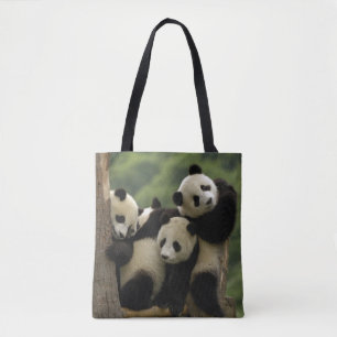 Jättepanda ungar (Ailuropoda melanoleuca) Tygkasse