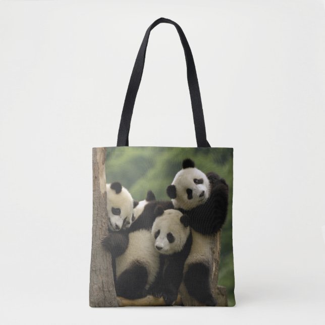 Jättepanda ungar (Ailuropoda melanoleuca) Tygkasse (Framsida)