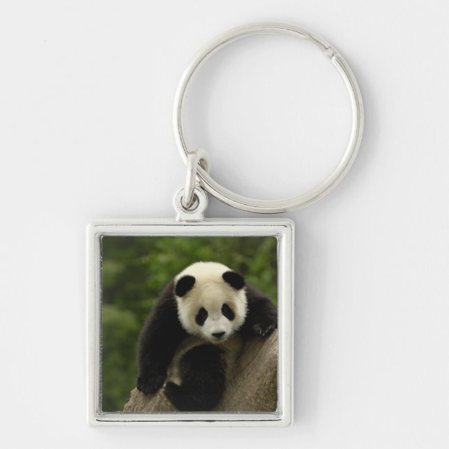 Jättepanda unge fyrkantig silverfärgad nyckelring (Framsidan)