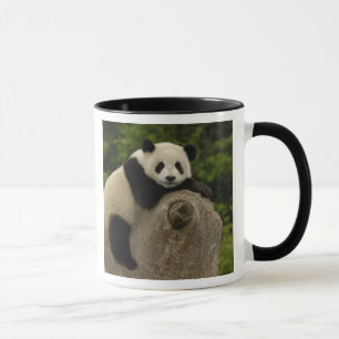 Jättepanda unge mugg