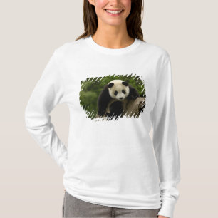 Jättepanda unge t-shirt