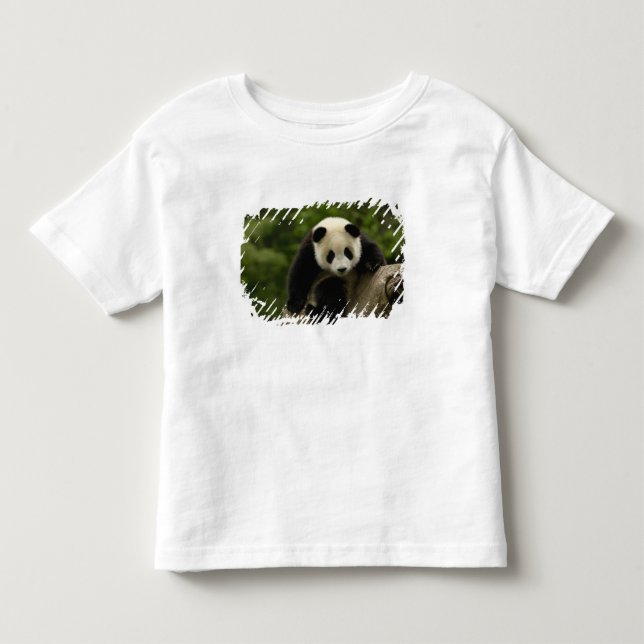 Jättepanda unge tee (Framsida)