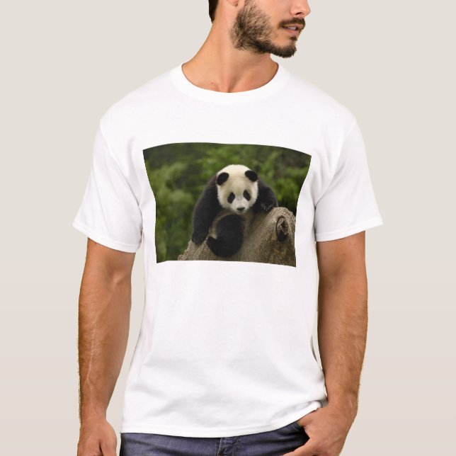 Jättepanda unge tee shirt (Framsida)
