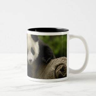 Jättepanda unge Två-Tonad mugg