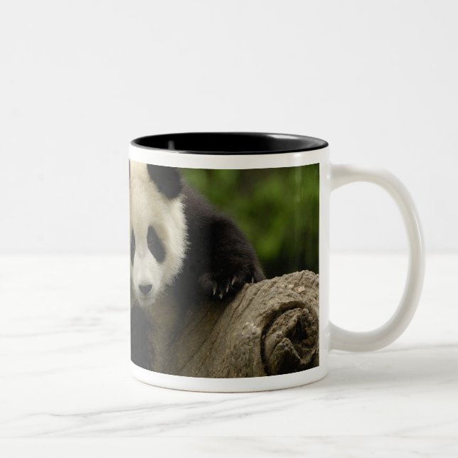 Jättepanda unge Två-Tonad mugg (Höger)