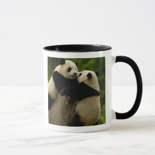 Jättepandaungar (Ailuropoda melanoleuca) Mugg